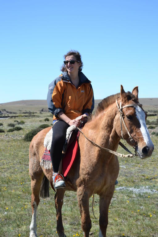Camping Y Hostal El Ovejero El Calafate Eksteriør billede