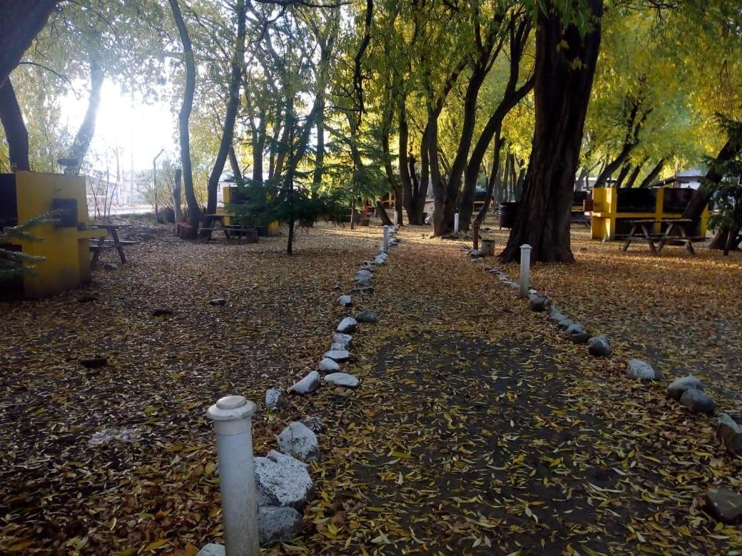 Camping Y Hostal El Ovejero El Calafate Eksteriør billede