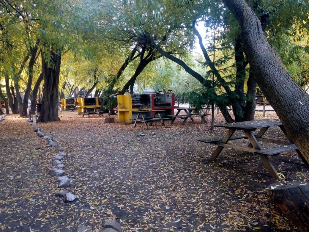 Camping Y Hostal El Ovejero El Calafate Eksteriør billede